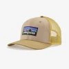 Patagonia P-6 Logo Trucker Hat - Spring 2022
