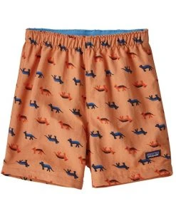 Patagonia Baby Baggies Shorts Spring 2019